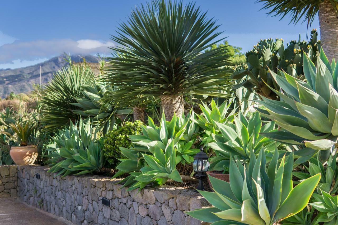 La Casa Del Campo Villa Vega de San Mateo Bagian luar foto